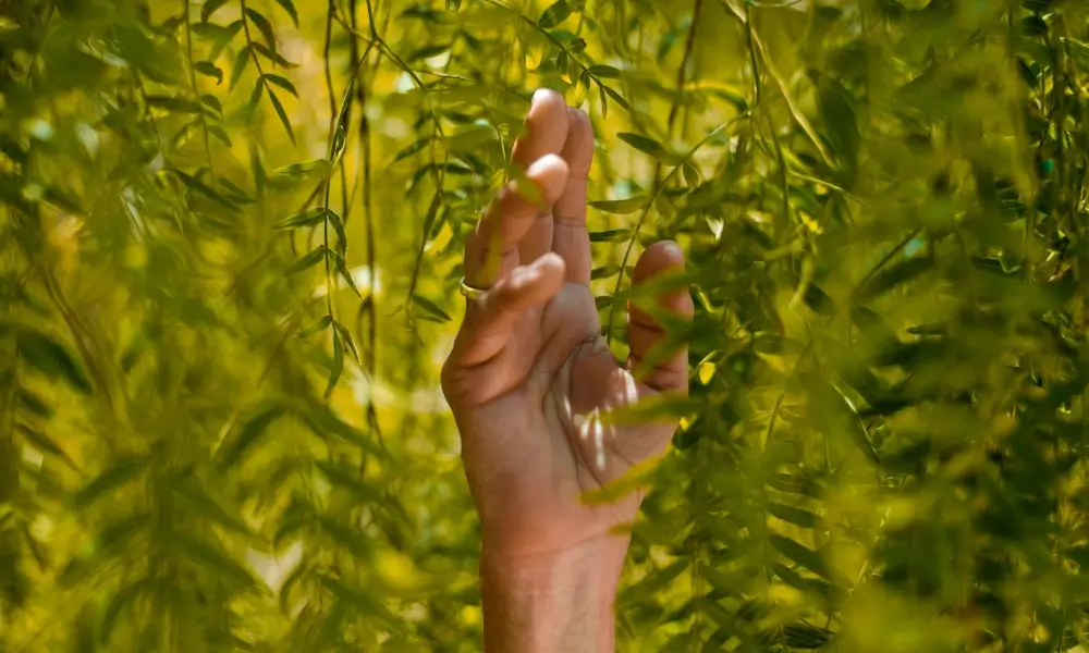 Zufriedenheit & Glück